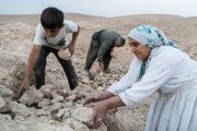 Mohammed et sa famille réparent un mur de leur bergerie avant les pluies d'hiver.